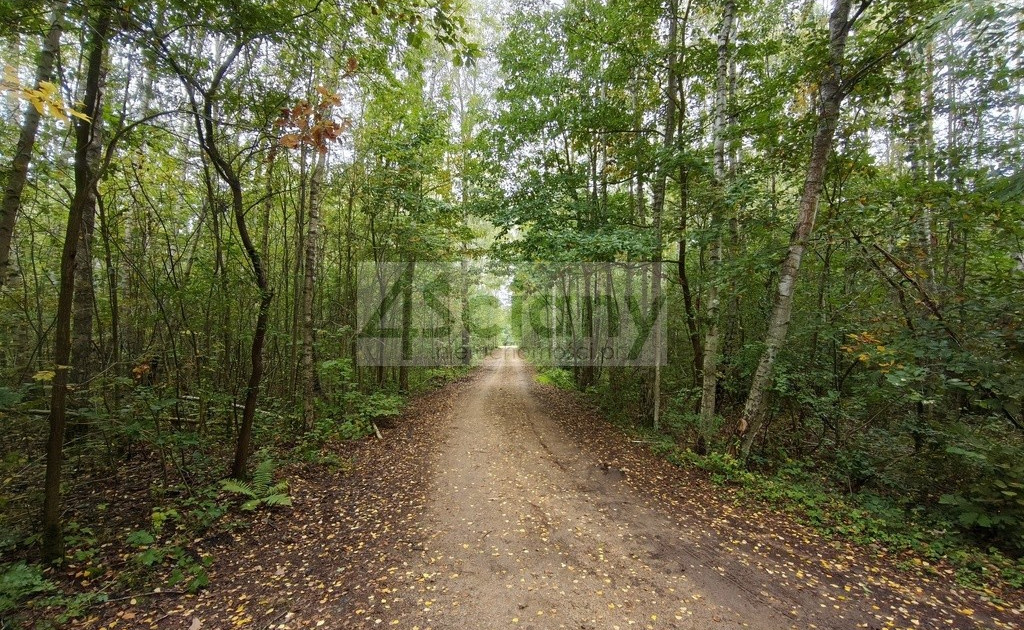 Działka na sprzedaż - Widok 2