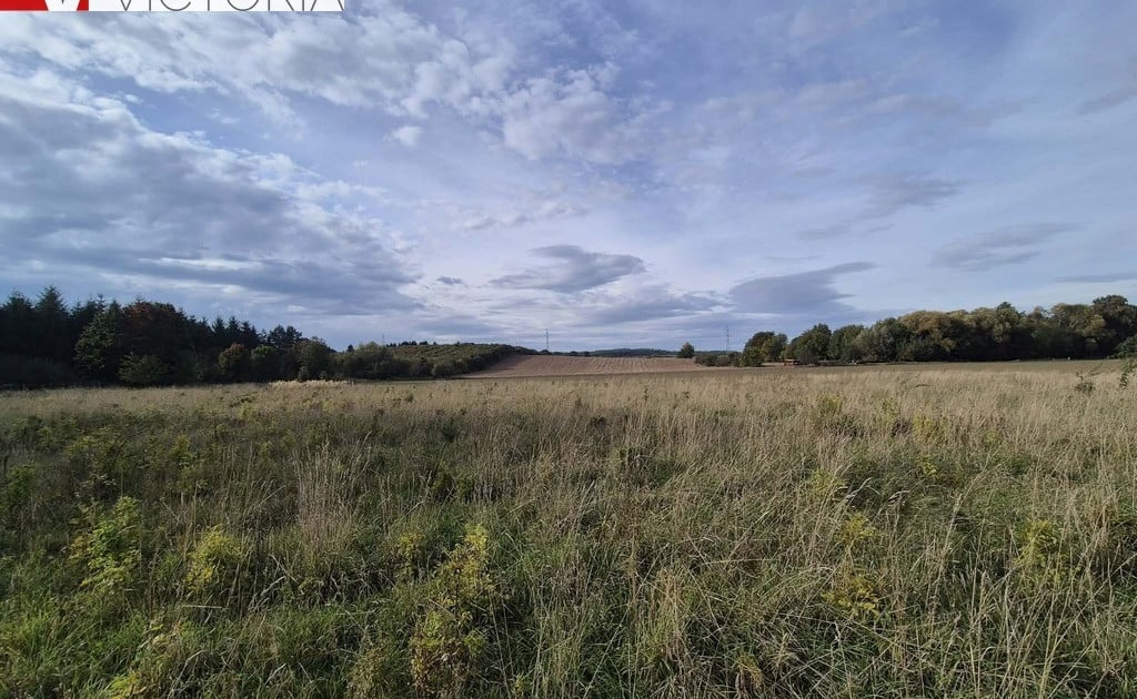 Działka na sprzedaż - Widok 2