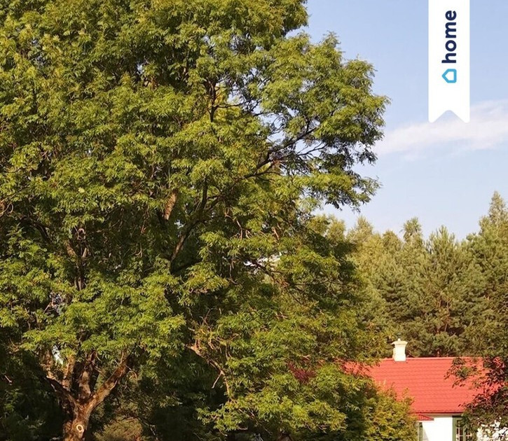 Dom – Stary Brus - Widok 2