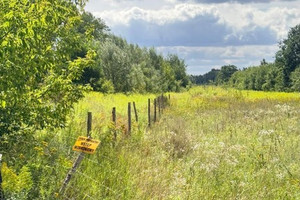 DZIAŁKA INWESTYCYJNA 1,48 HA | WZ DO 37 BUDYNKÓW | ŁÓDŹ, CHOJNY