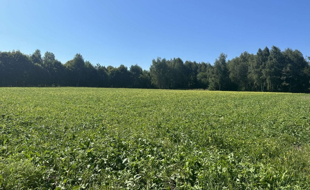 Działka na sprzedaż - Widok 2