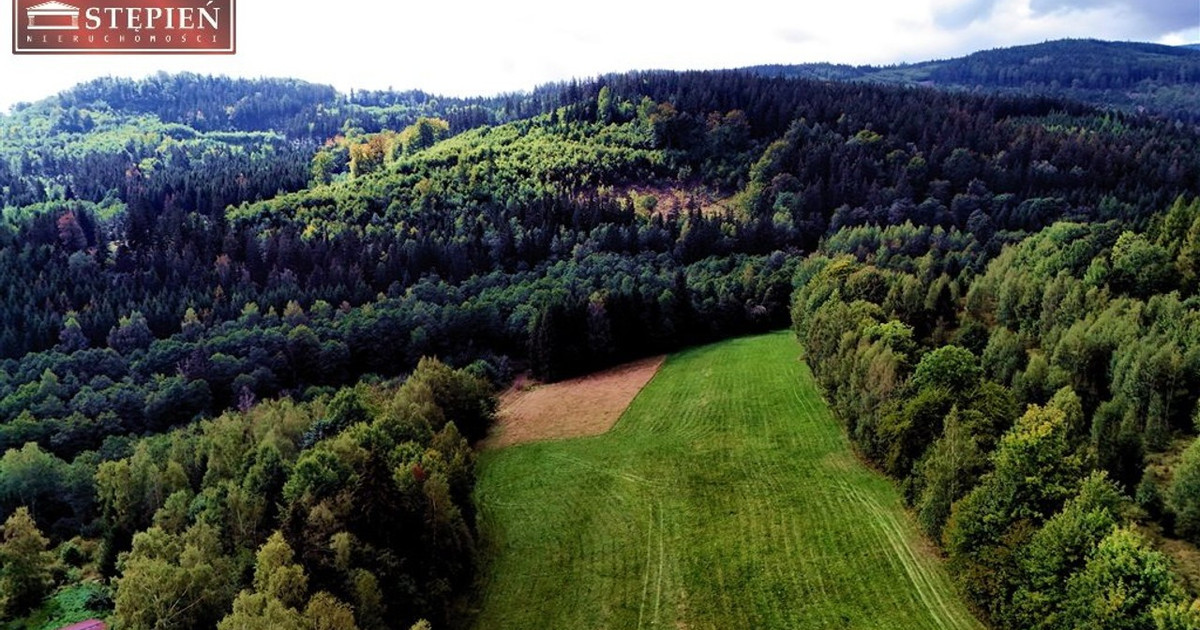 Działka na sprzedaż - Widok 2