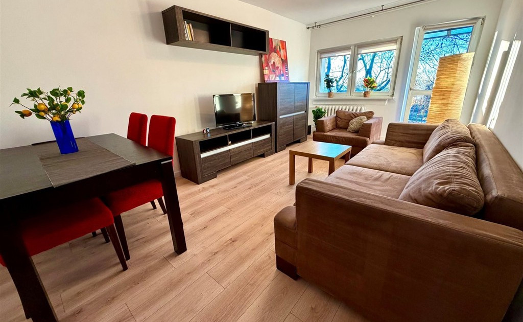 Apartment in Bałuty - Widok 2