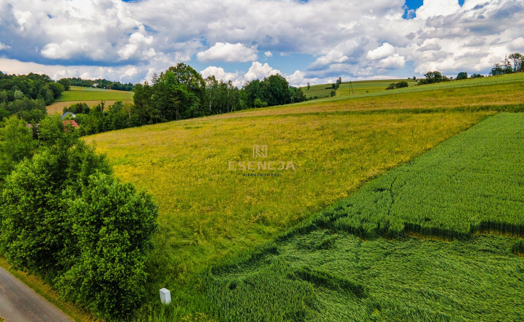 Działka na sprzedaż - Widok 2
