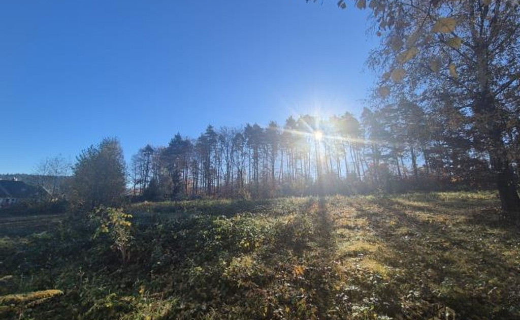 Działka na sprzedaż - Widok 2