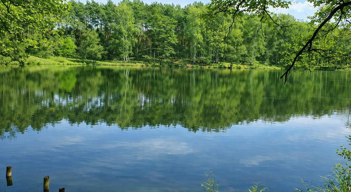Działka na sprzedaż - Widok 2