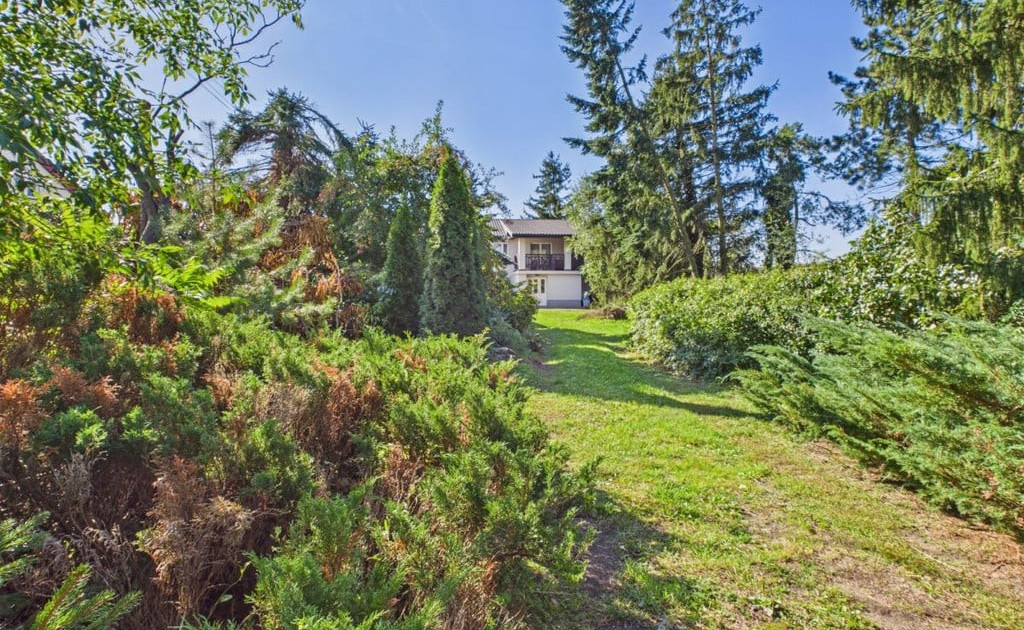 Dom – Gręzów, Teresin - Widok 2