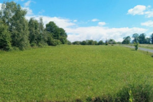 Działka budowlano-rolna z lasem - 2.61h w Łużnej