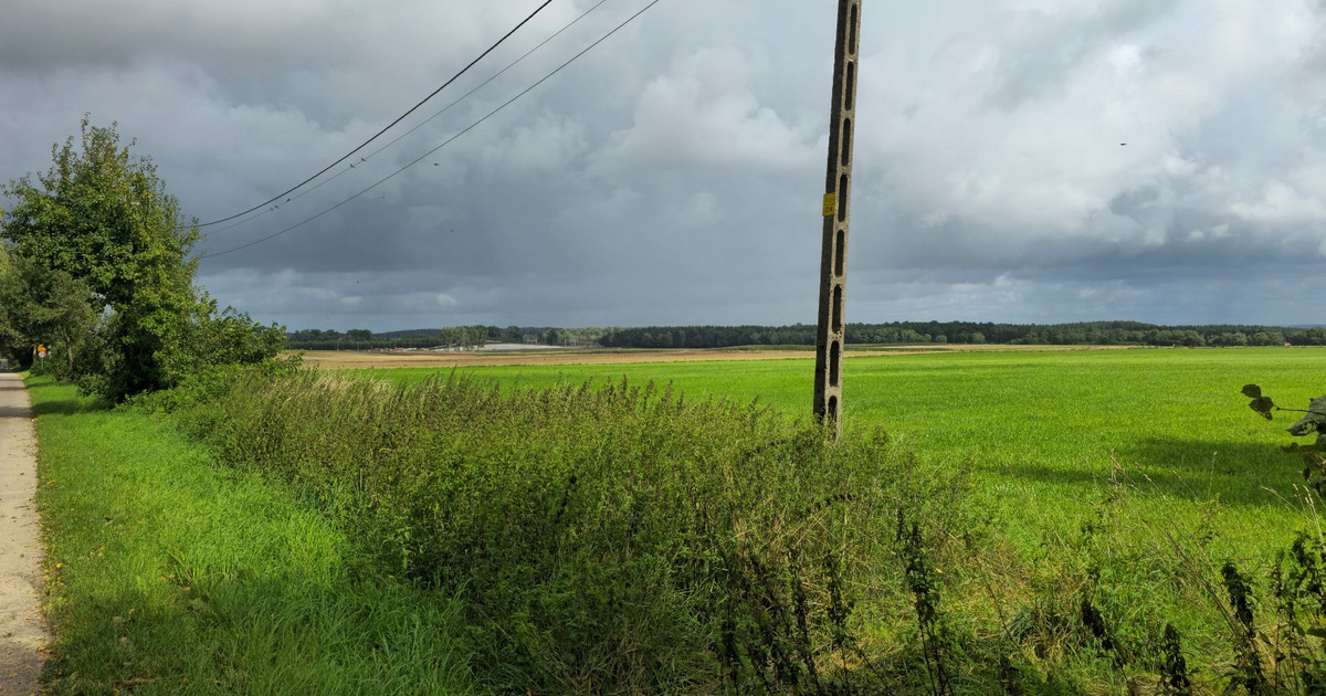 Działka na sprzedaż - Widok 2