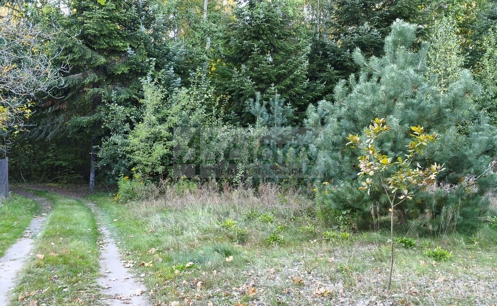 Działka na sprzedaż - Widok 2