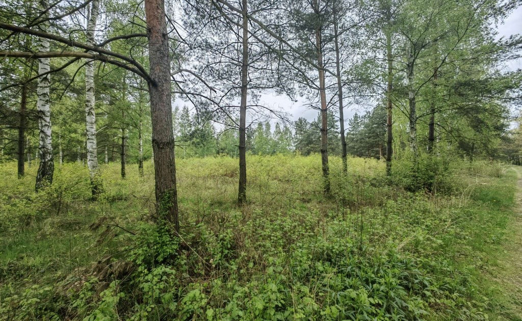 Działka na sprzedaż - Widok 2