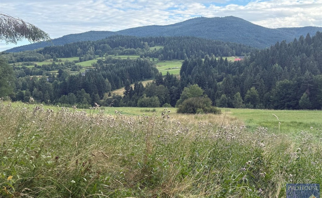 Działka na sprzedaż - Widok 2