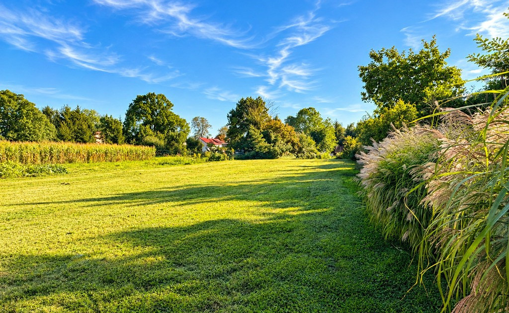 Działka na sprzedaż - Widok 2
