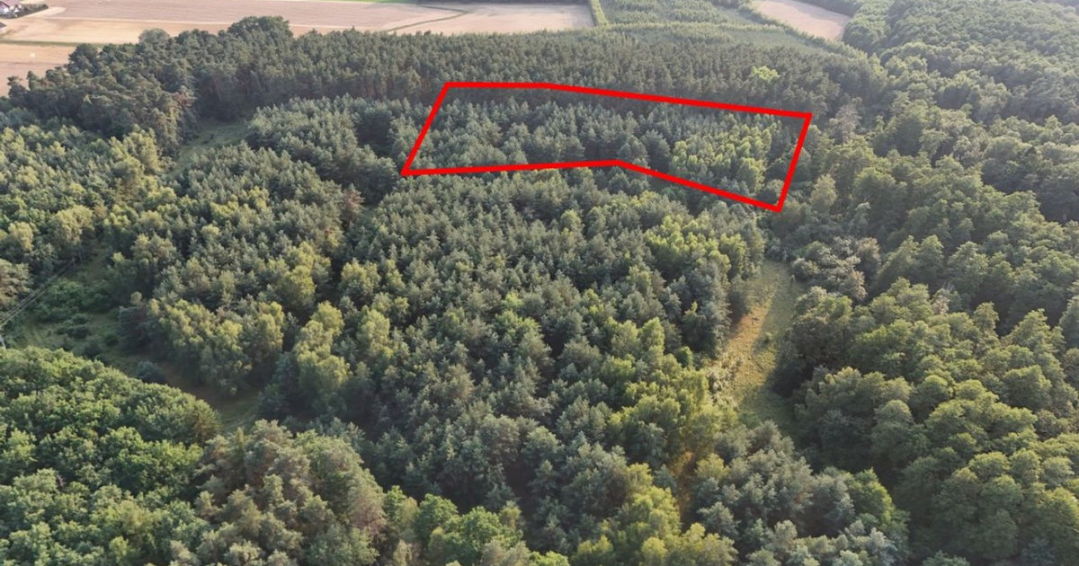 Działka na sprzedaż - Widok 2