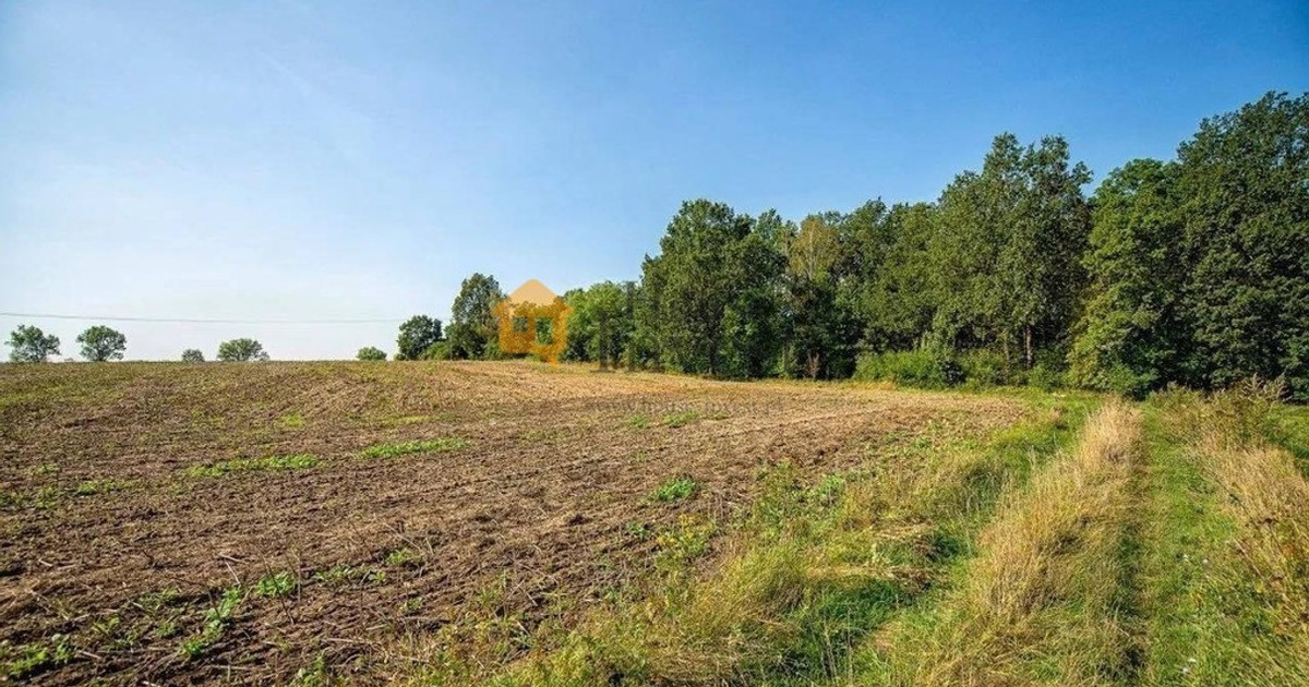 Działka na sprzedaż - Widok 2