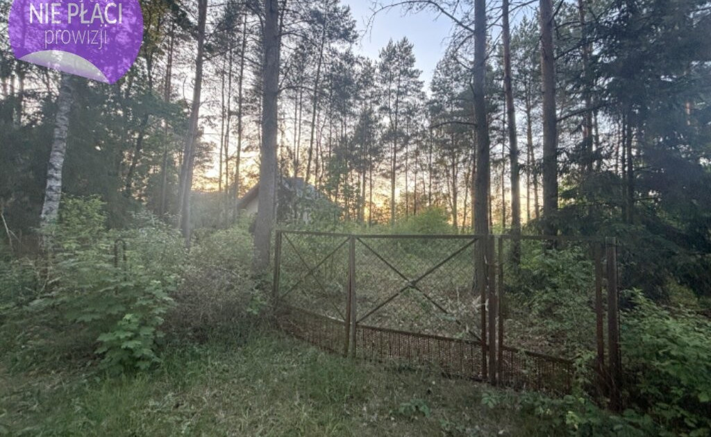 Działka na sprzedaż - Widok 2