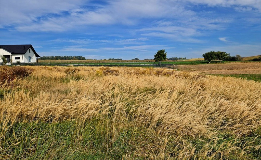 Działka na sprzedaż - Widok 2
