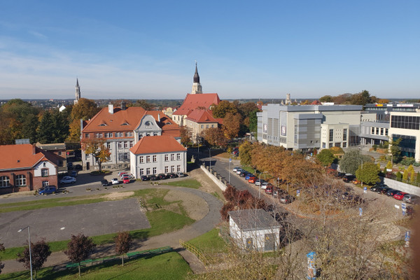 Mieszkanie do wynajęcia