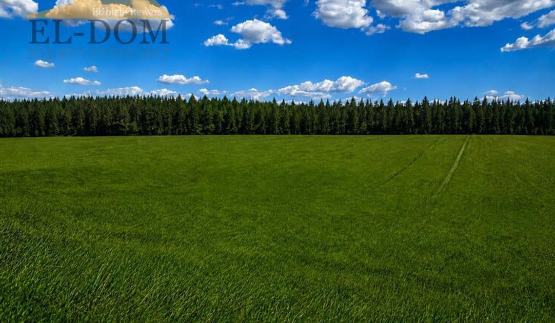Działka na sprzedaż - Widok 2