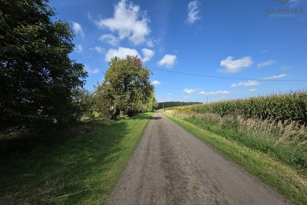 Land, 998 m²