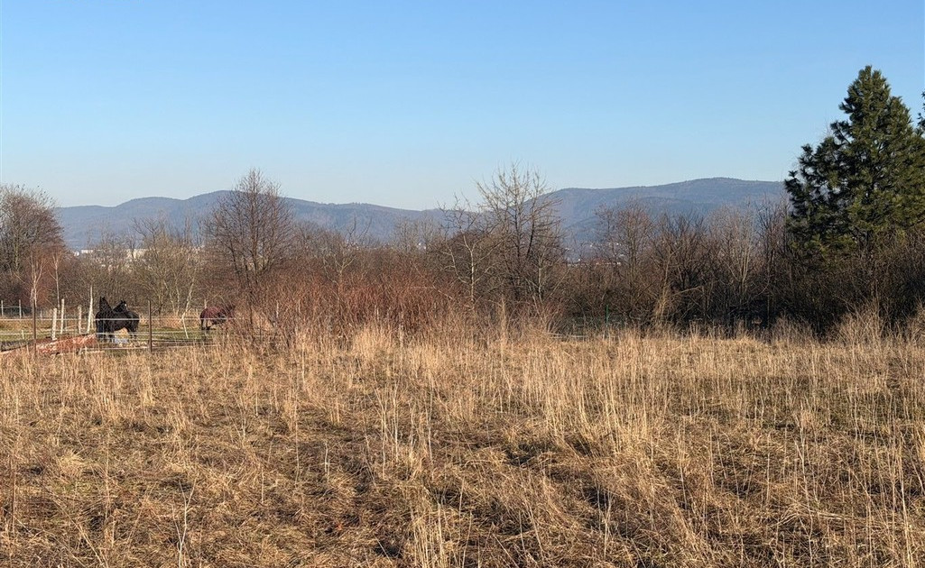 Działka do wynajęcia - Widok 2