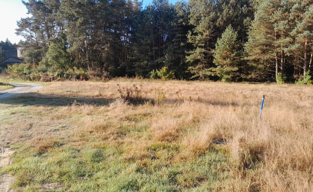 Działka na sprzedaż - Widok 2