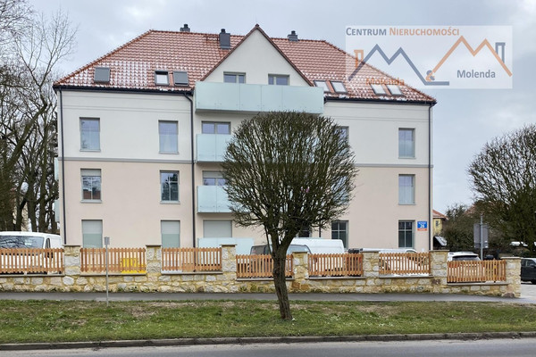 Mieszkanie do wynajęcia