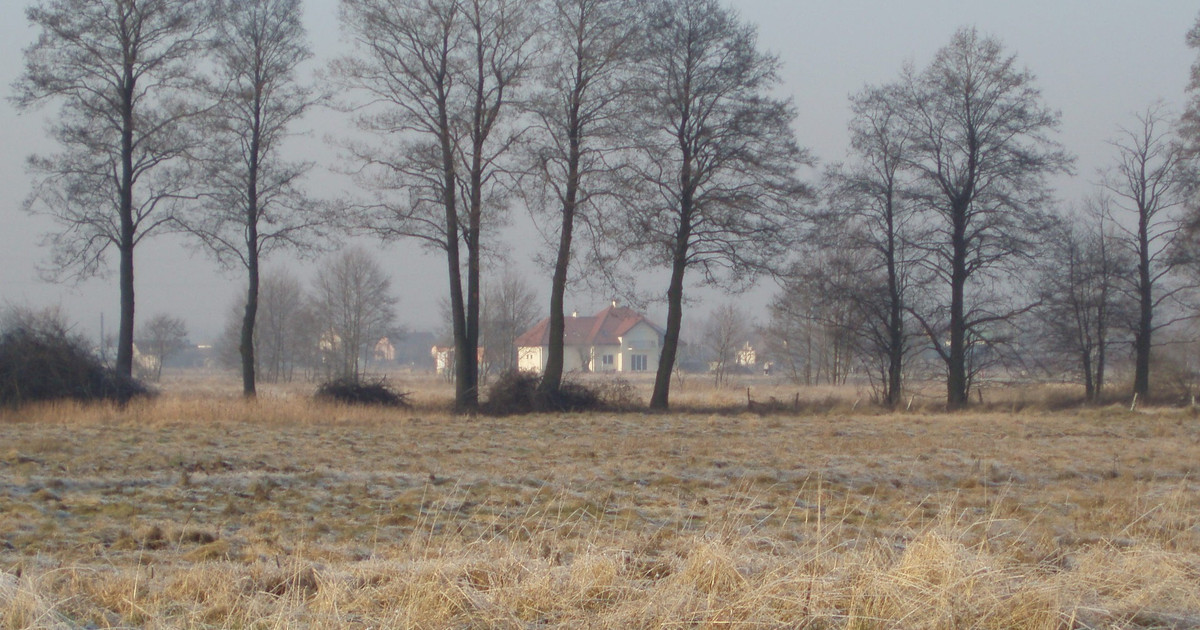 Działka na sprzedaż - Widok 2