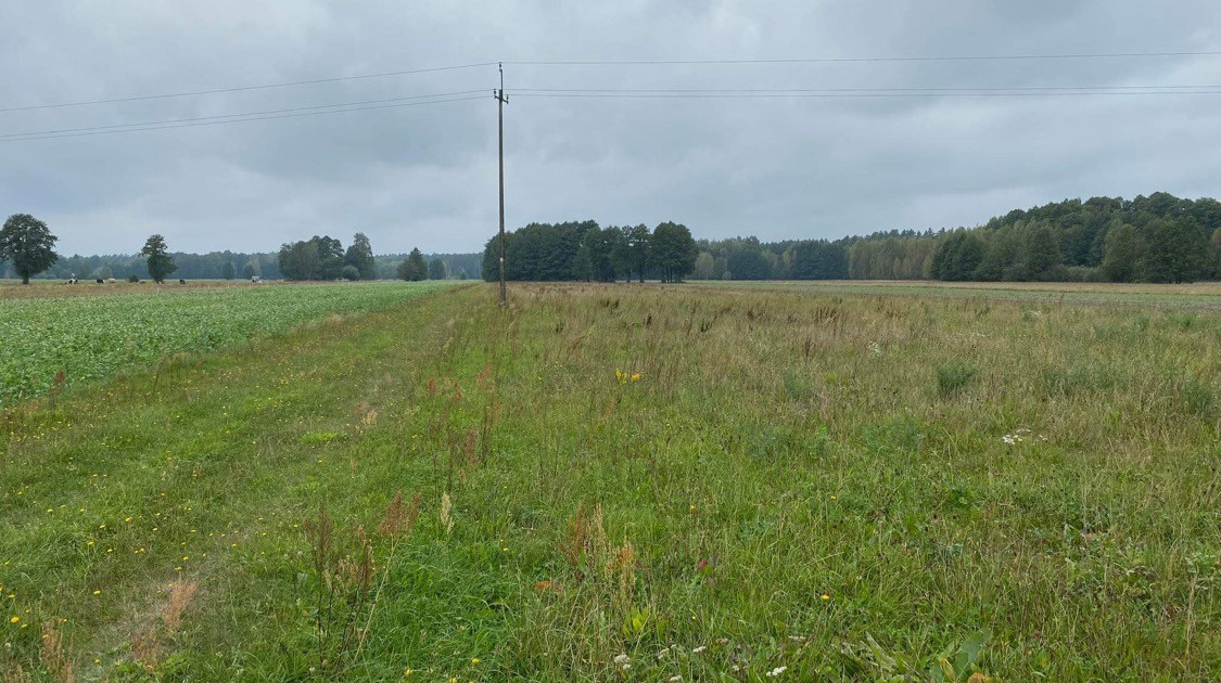 Działka na sprzedaż - Widok 2