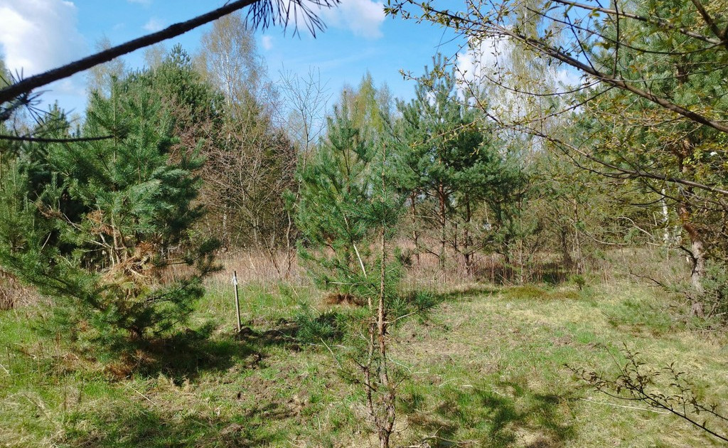 Działka na sprzedaż - Widok 2