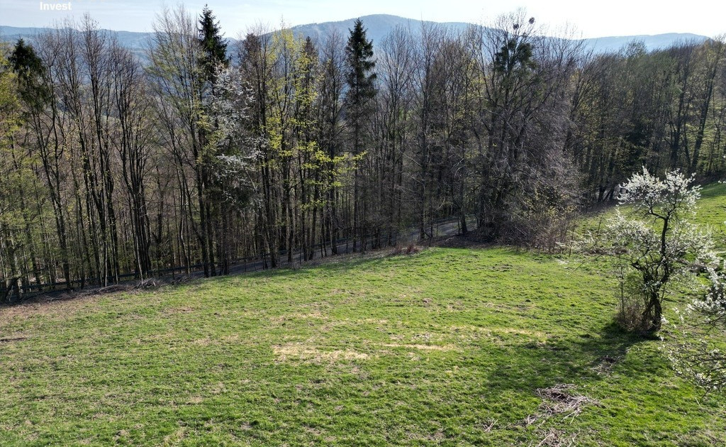 Działka na sprzedaż - Widok 2