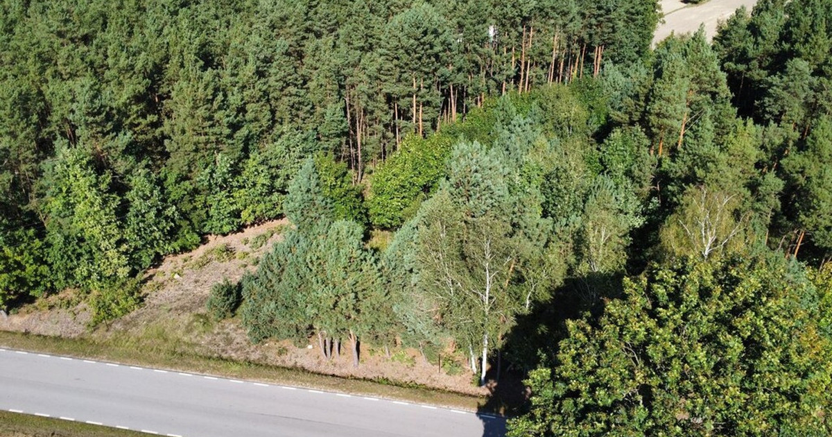 Działka na sprzedaż - Widok 2