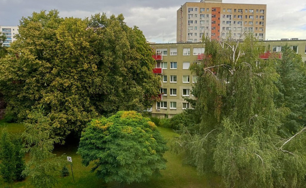 Mieszkanie – Stare Miasto - Widok 2