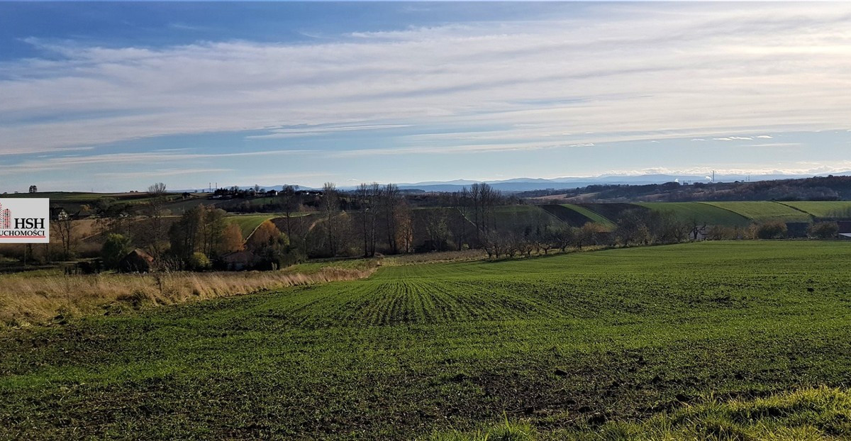 Działka na sprzedaż - Widok 2