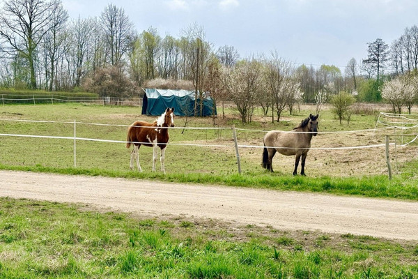 Plac, 6400 m²
