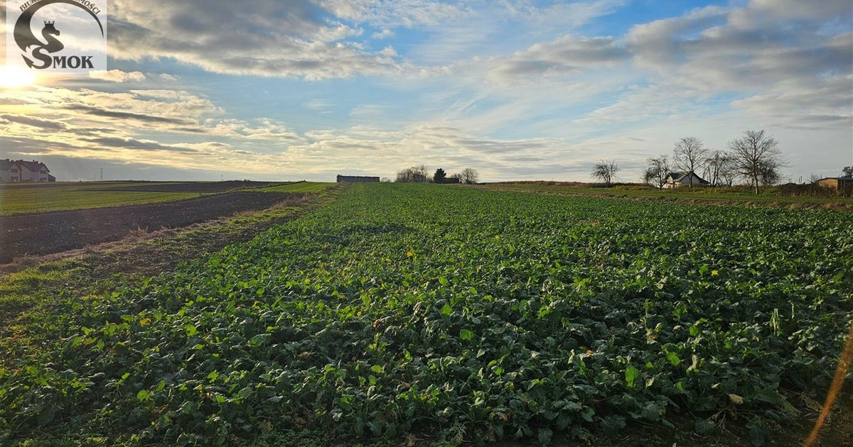 Działka na sprzedaż - Widok 2