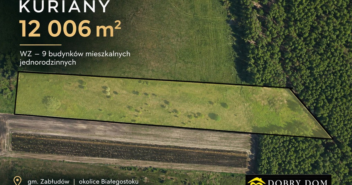 Działka na sprzedaż - Widok 2