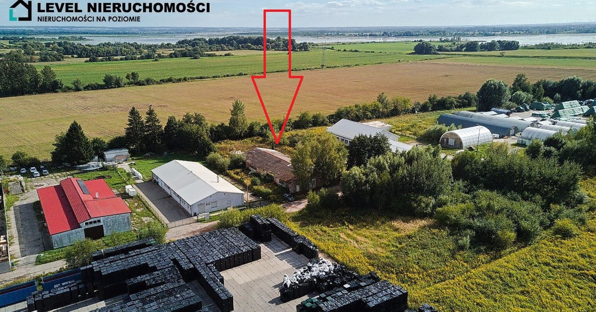 Hala, magazyn na sprzedaż - Widok 2
