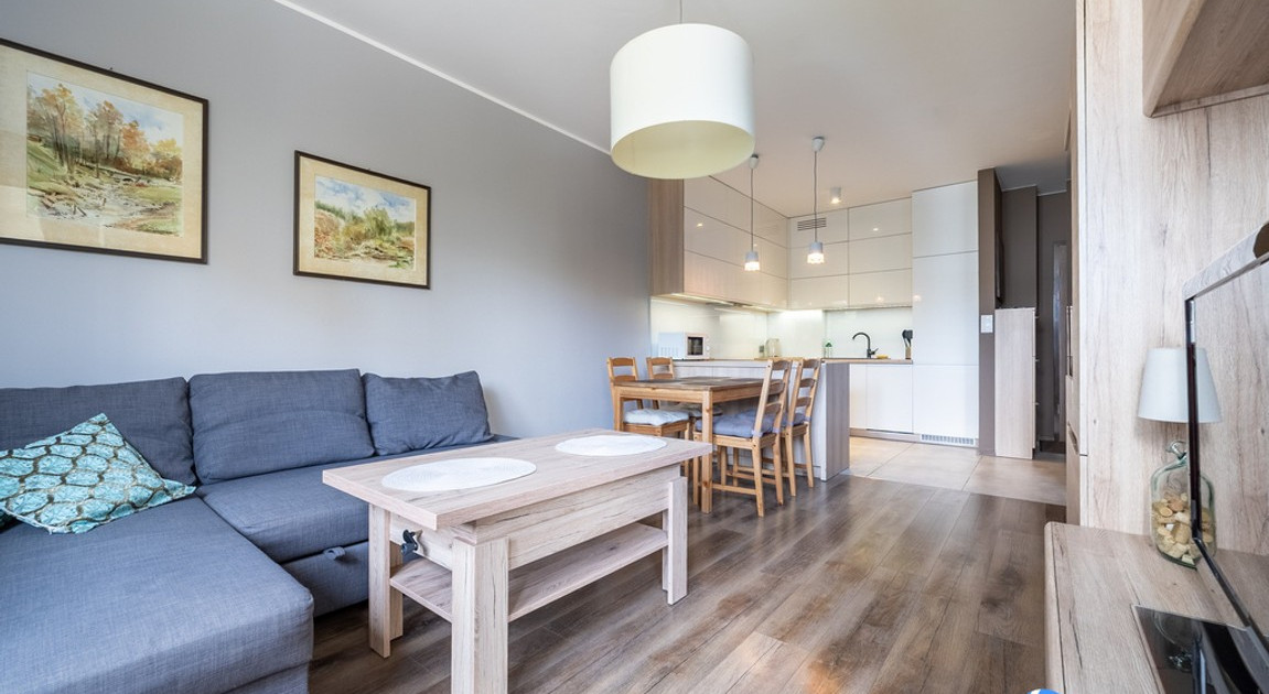 Apartment in Krowodrza - View 2