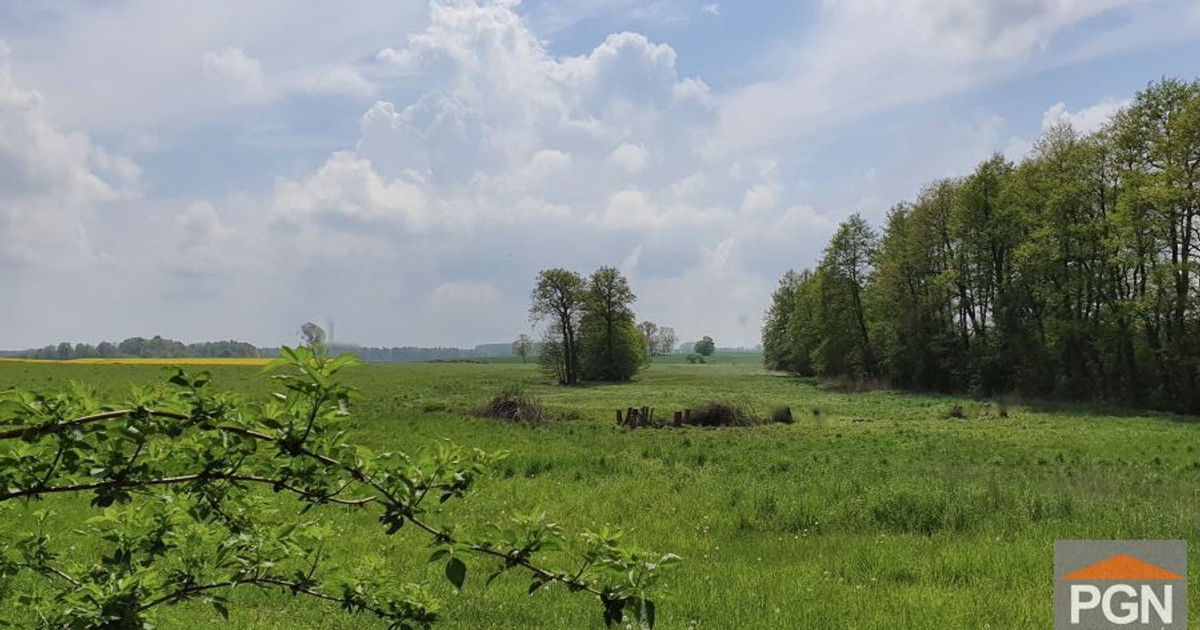 Działka na sprzedaż - Widok 2