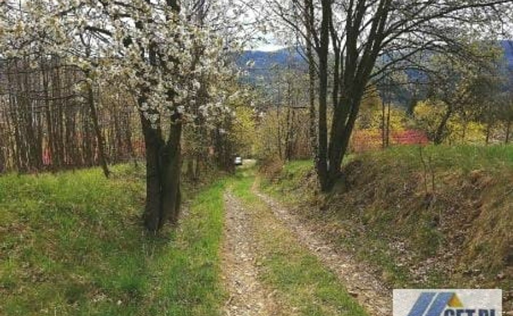 Działka na sprzedaż - Widok 2