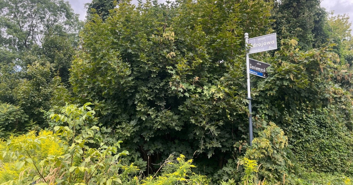 Działka na sprzedaż - Widok 2