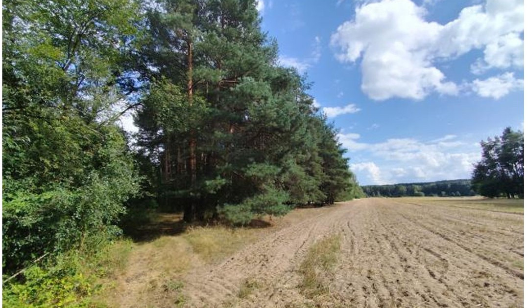 Działka na sprzedaż - Widok 2