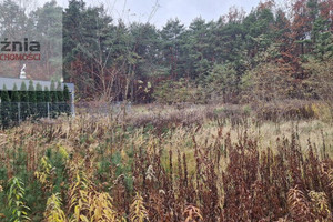 Działka budowlana 2300 m² i leśna 1700 m² – Falenica