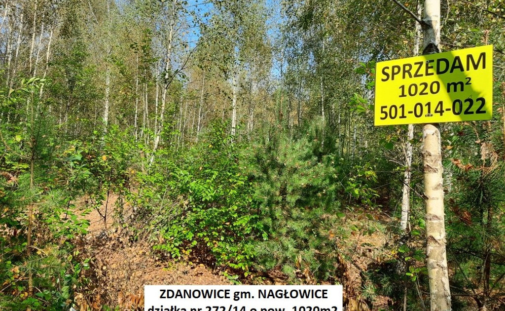 Działka na sprzedaż - Widok 2