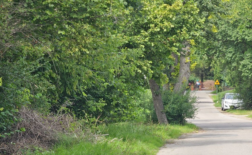 Działka na sprzedaż - Widok 2