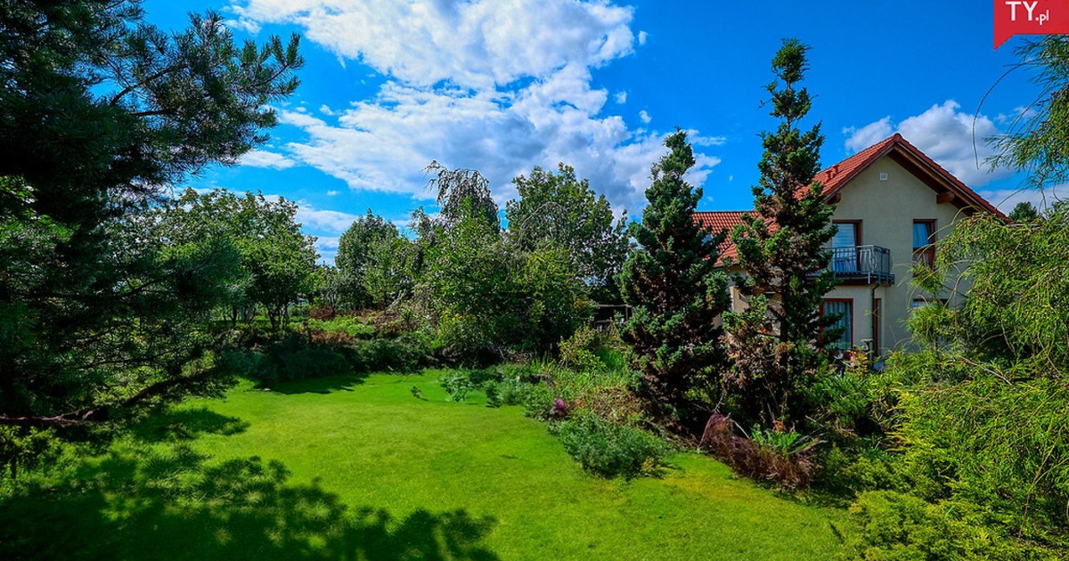Dom – Koniusza - Widok 2