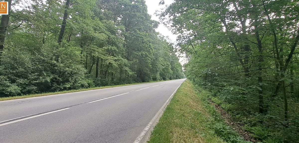 Działka na sprzedaż - Widok 2