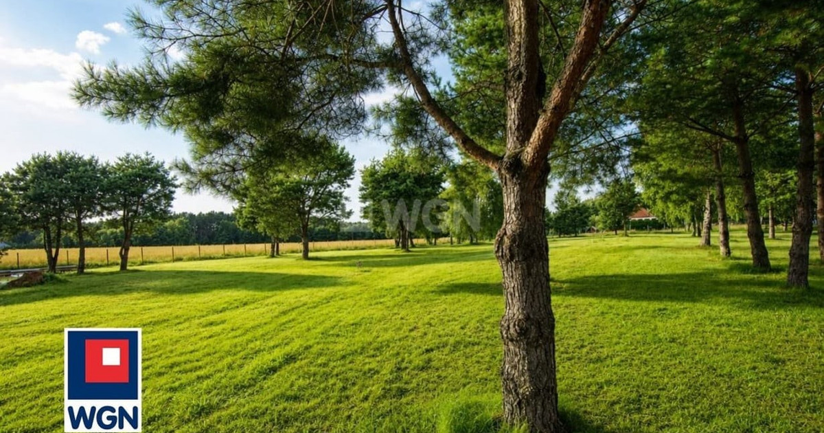 Działka na sprzedaż - Widok 2