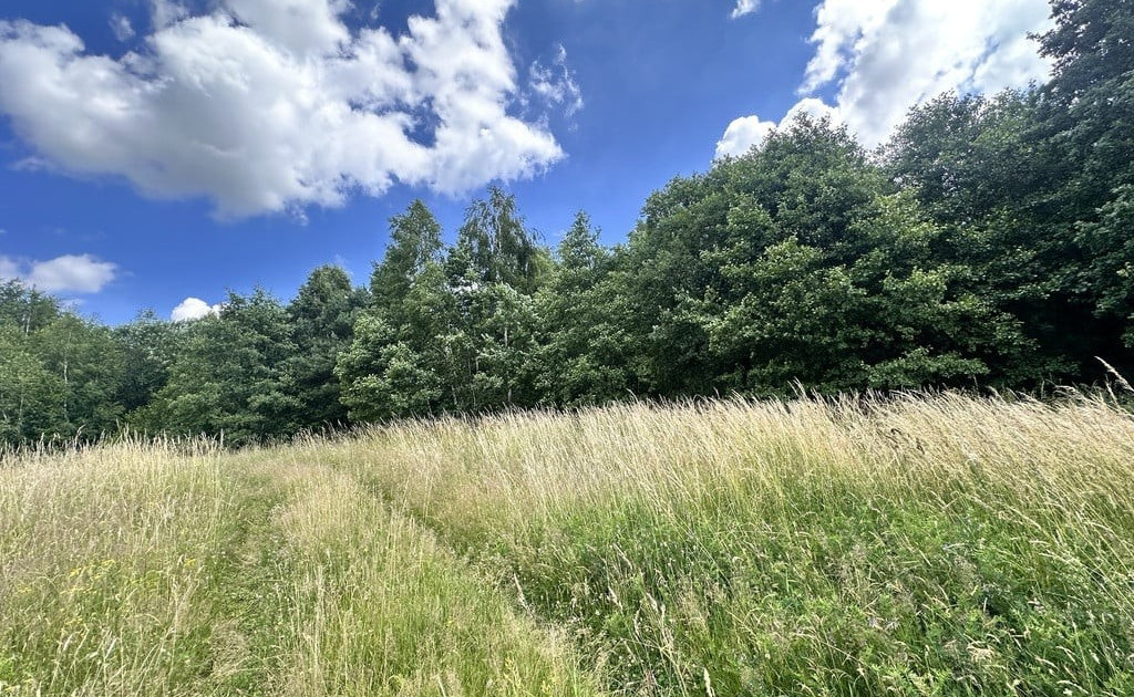 Działka na sprzedaż - Widok 2